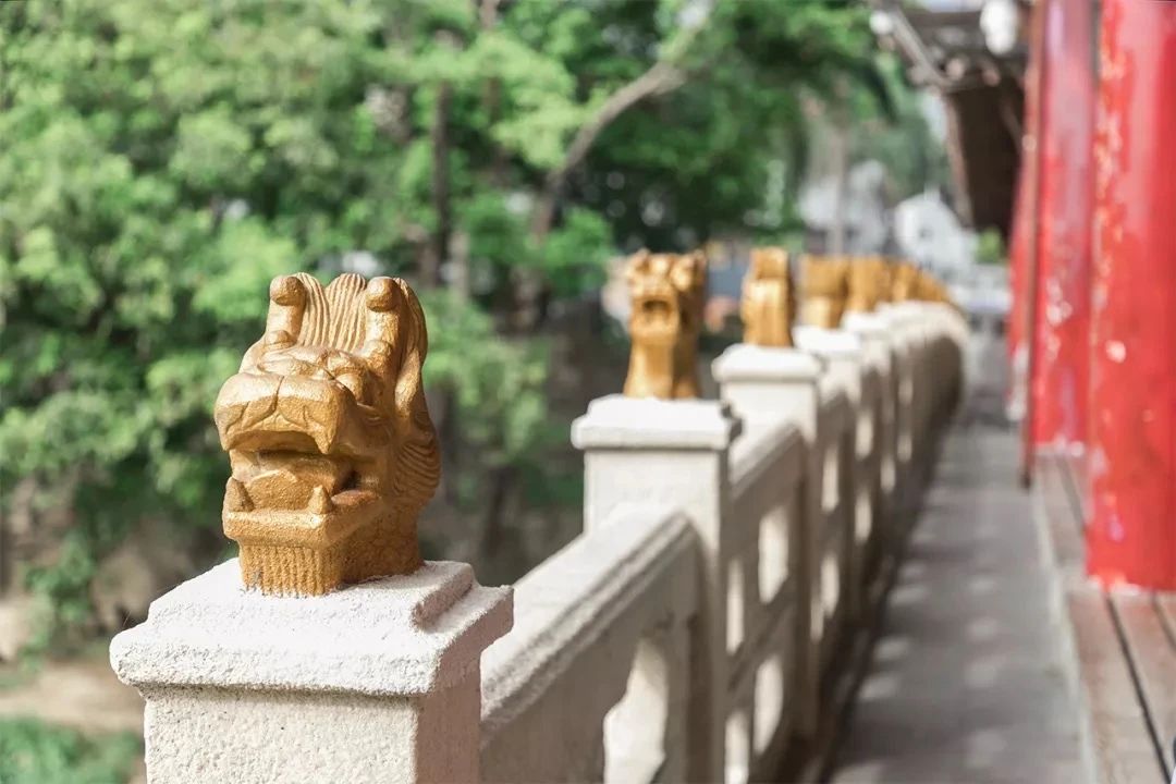 放假在深圳能去哪里玩,放假了能够去深圳的哪些地方玩