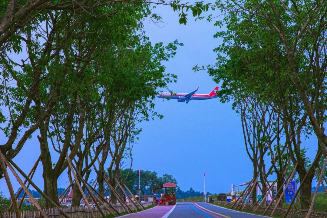 踏青打卡好去处双流空港公园,成都双流的三大新的生态公园