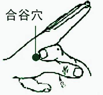 针灸歌诀歌赋经典名篇,长桑君针灸歌诀