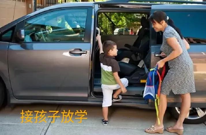 四轮电动车要考什么驾照才能开,新手电动四轮驾驶证怎么考