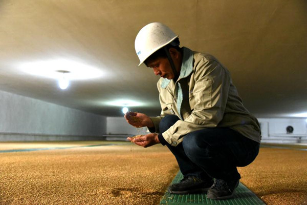 徐州农业示范基地,徐州传统农业产业