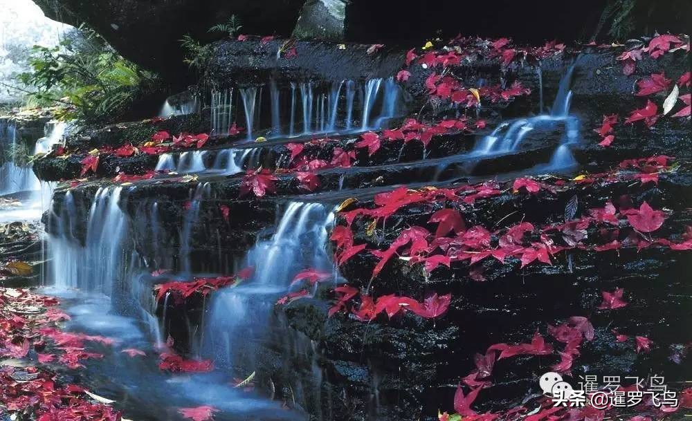 黎府鬼节,泰国黎府鬼节故事