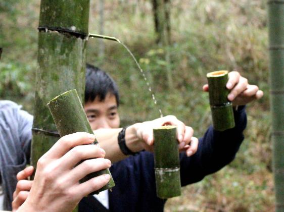 竹筒酒放了一年了还能喝吗,竹酒在竹子上保存多久