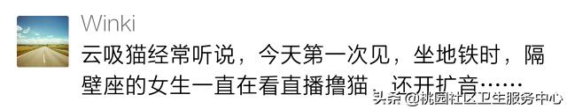 如被猫狗咬伤或抓伤应如何处理,被猫狗咬伤在多少小时之内打疫苗