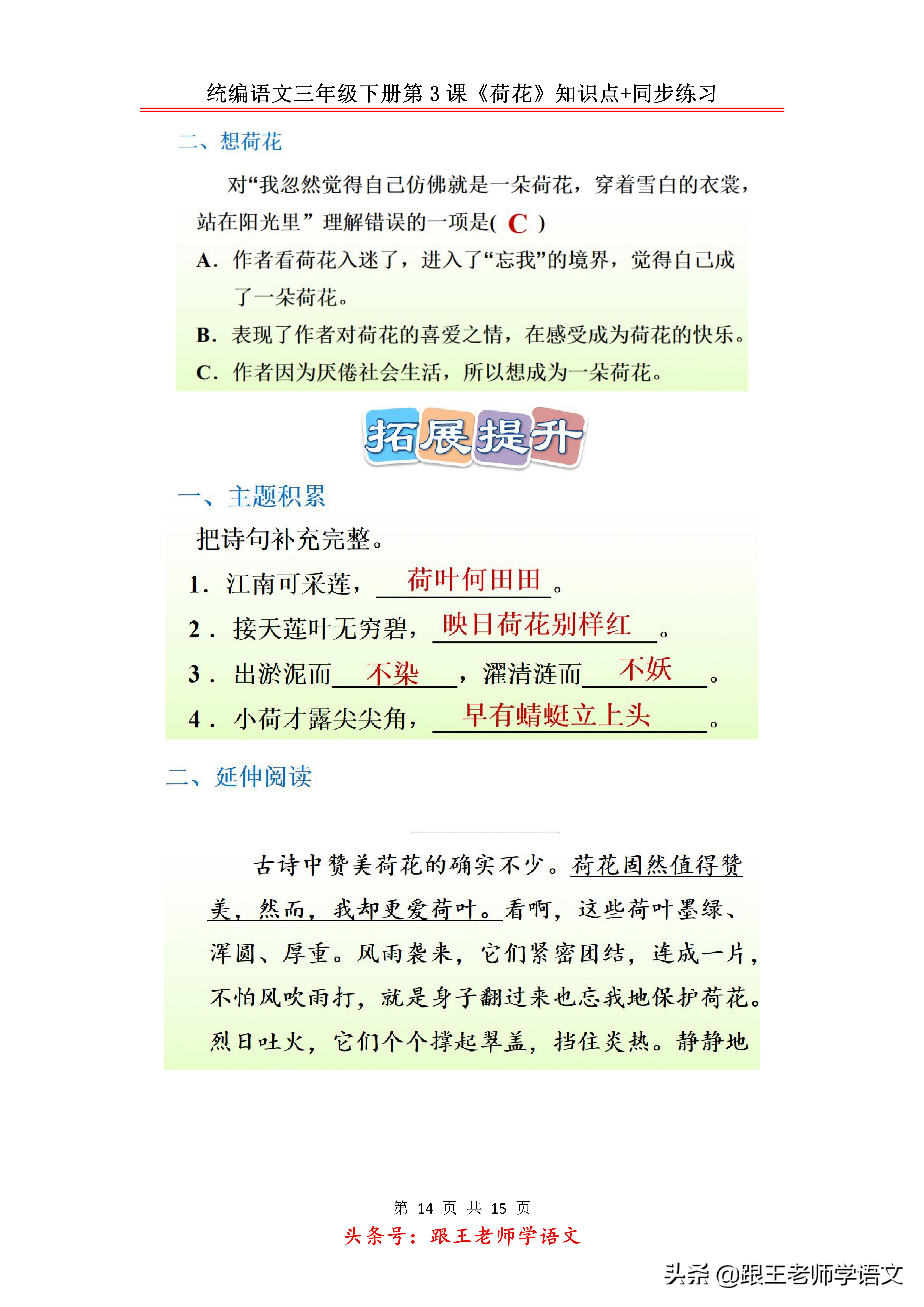 部编版三年级下册第三课荷花,部编教材三年级下册荷花教学视频