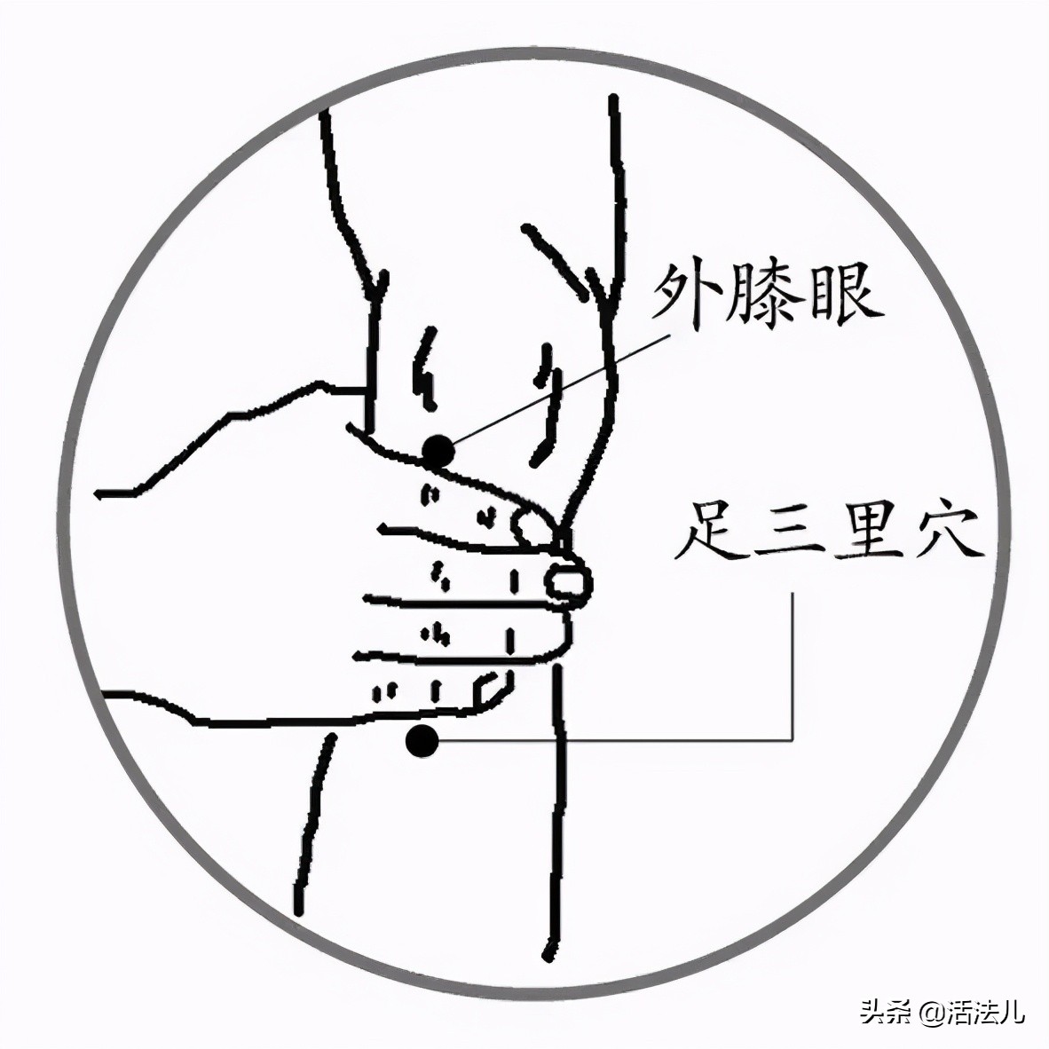 能快速解除眼袋的方法推荐,祛眼袋最快的恢复方法