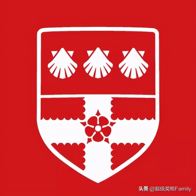 英国金史密斯学校怎么样,英国金史密斯学院纯艺术