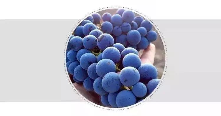 双12酒的促销活动,双12酒促销六瓶