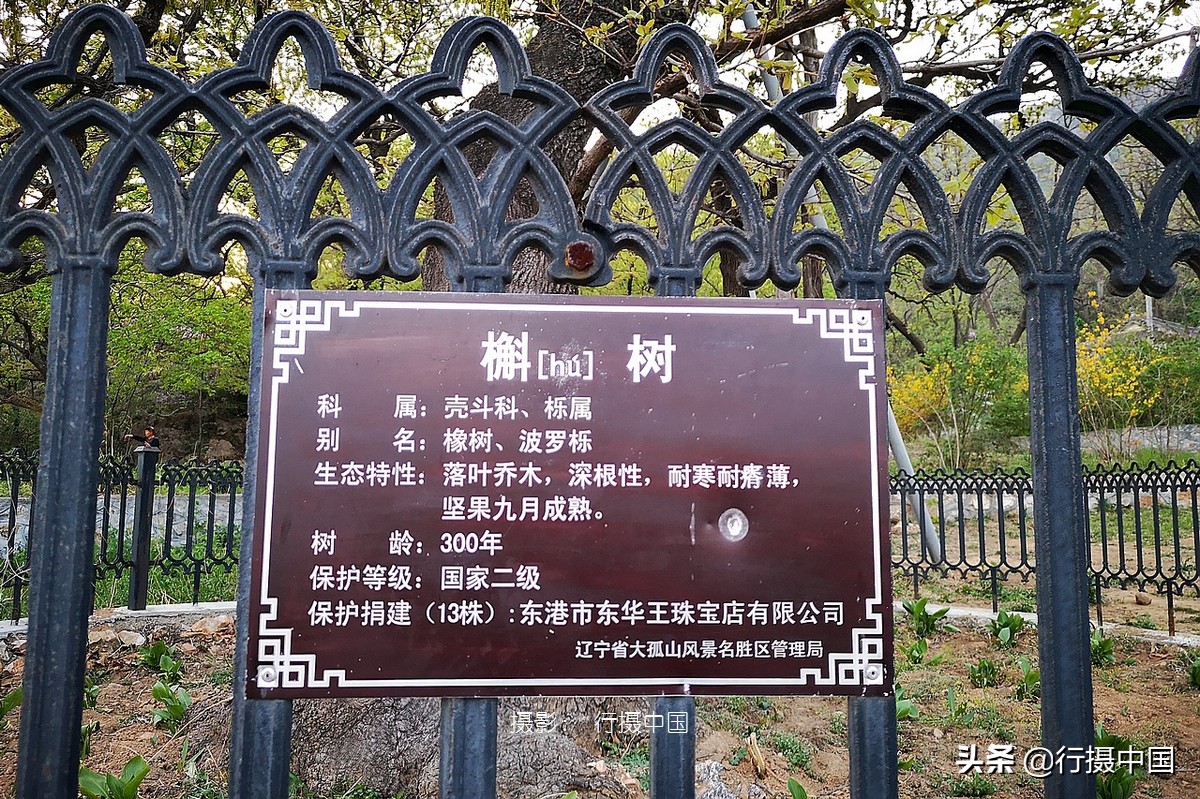 辽宁一座被遗忘的地方,辽宁沈阳东北第一城