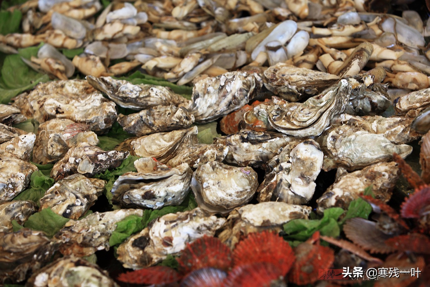 一桌海鲜2200元10人吃不完,一桌鲜威海海鲜套餐