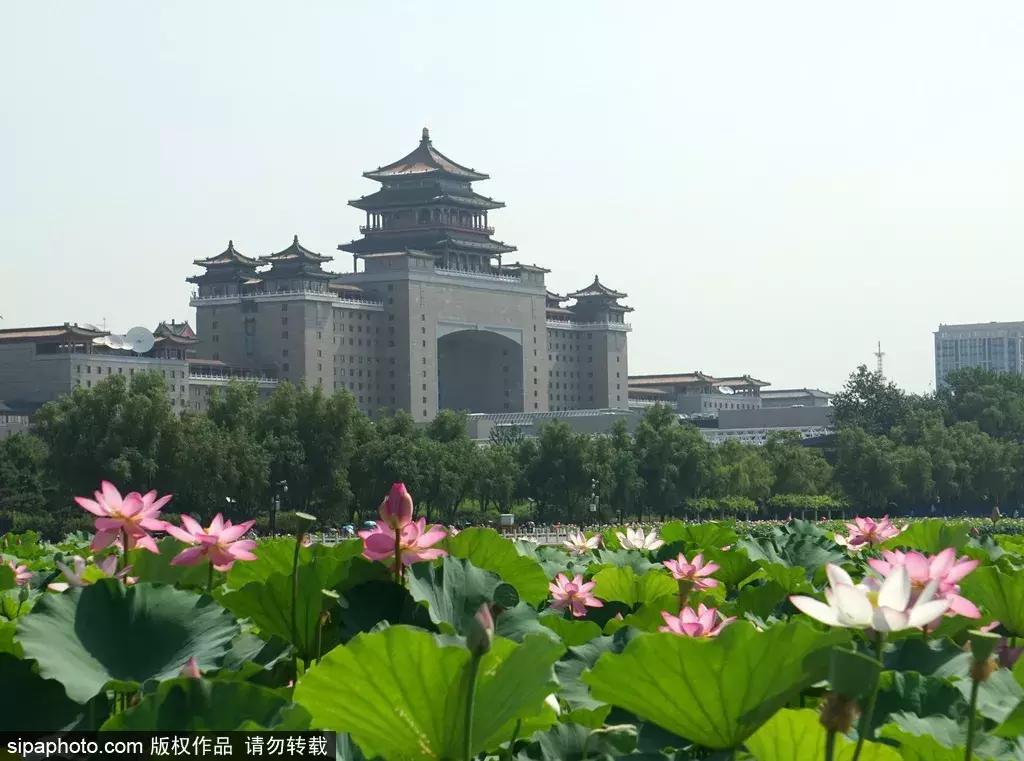 合适旅游的免费景点北京,推荐北京假期游玩的地方
