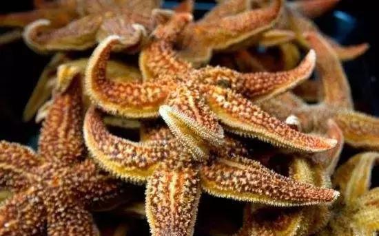 汕尾人吃海鲜,原来海边人是这样吃海螺的