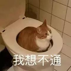 孩子挑食到底要不要纠正,孩子挑食有什么危险视频