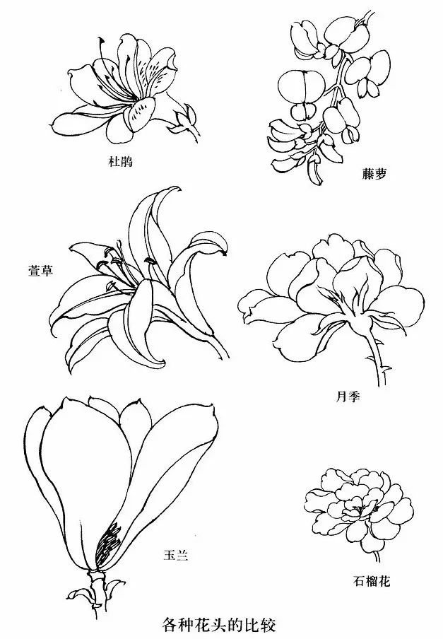 手绘画素材书,100张手绘素材图片