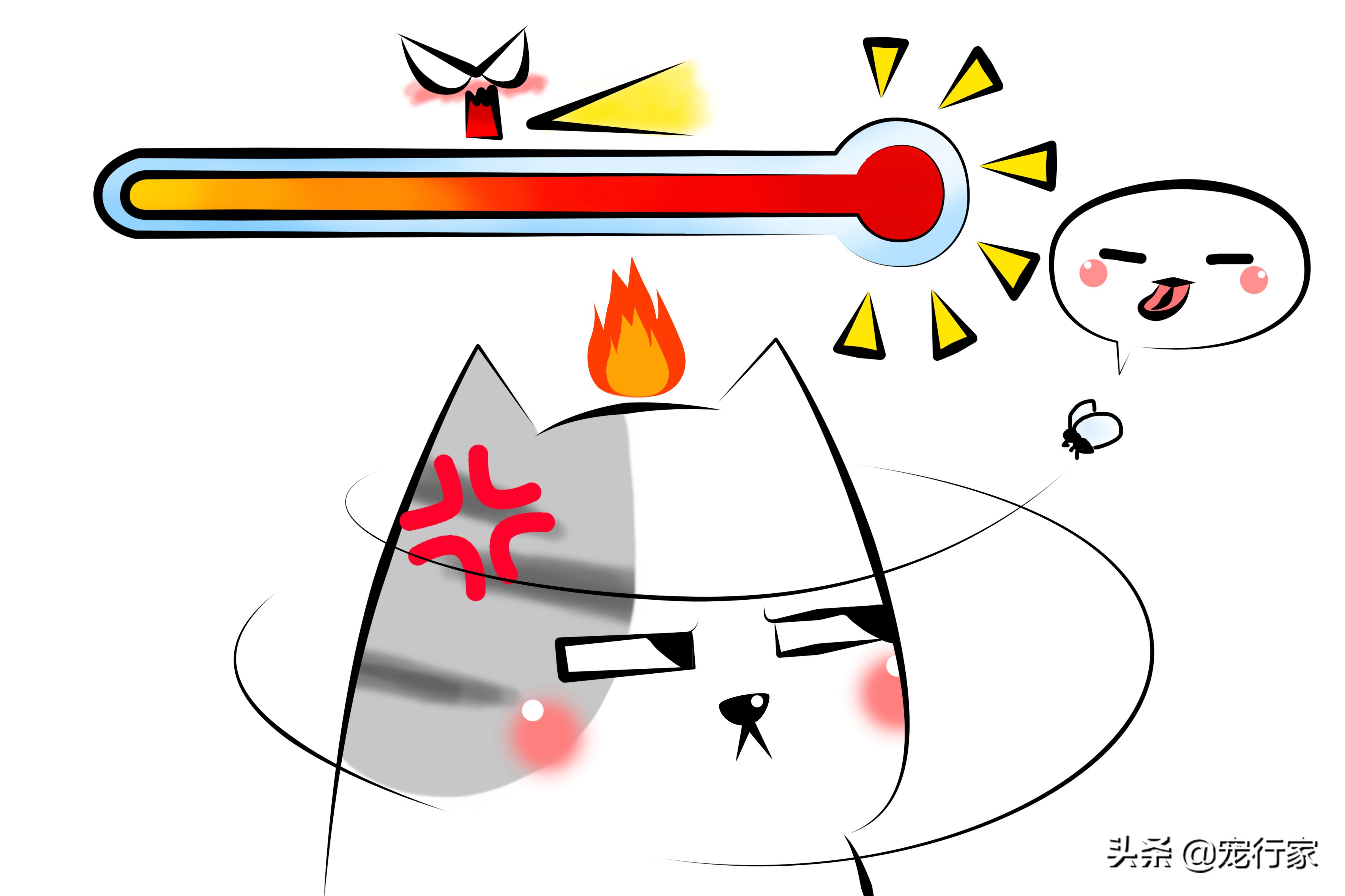 为什么猫咪抓到苍蝇就把它吃掉,猫咪爱吃苍蝇是要吃什么驱虫药