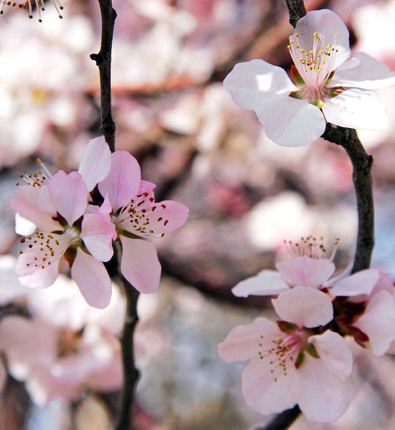 男人和女人三观合不合是指哪三观,家庭三观不合指哪三观