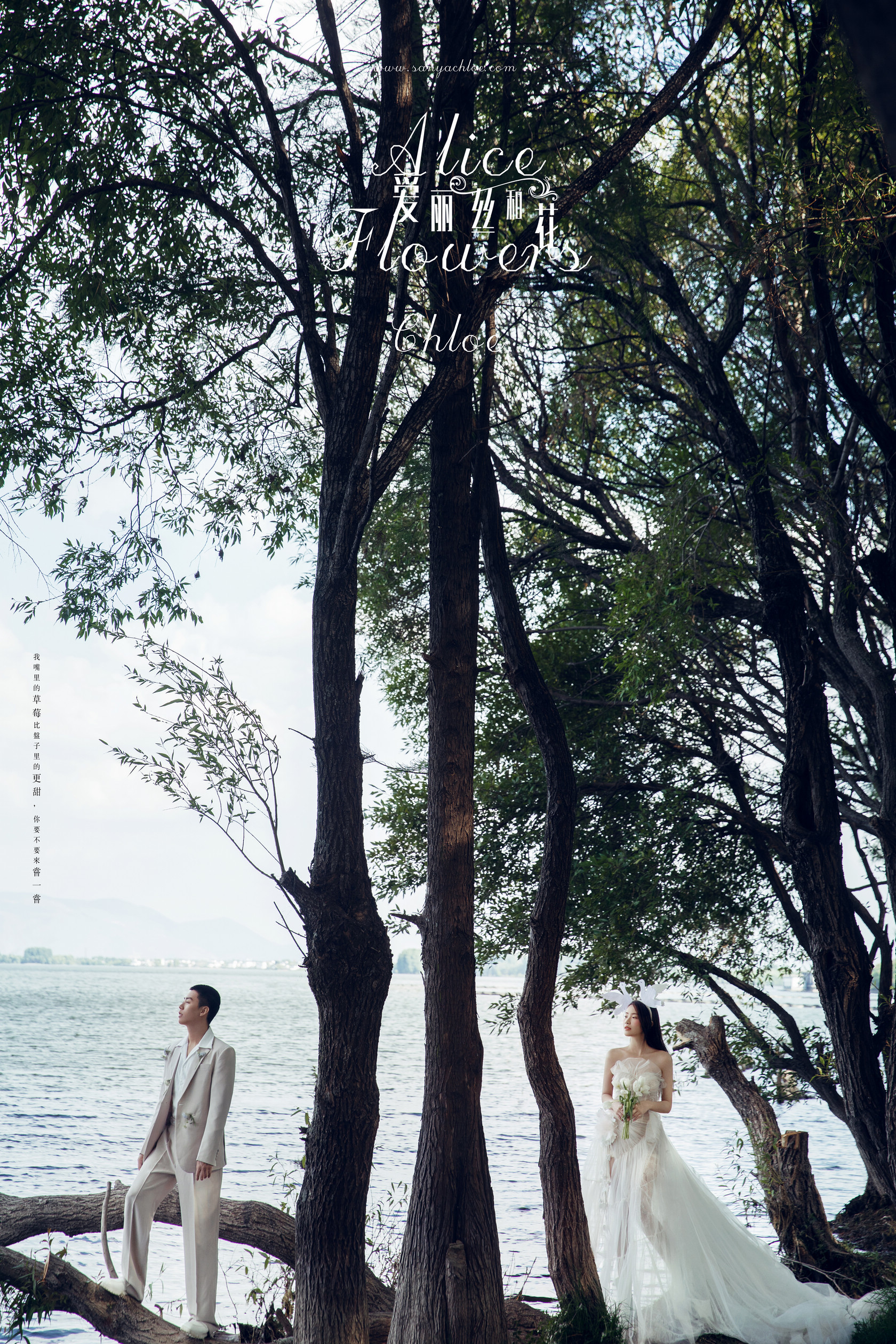 5套婚纱照选片技巧,婚纱照选片技巧及注意事项图片