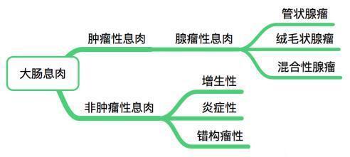 大肠息肉摘除后是否会再长？肠息肉切除后多长时间复查比较合适？