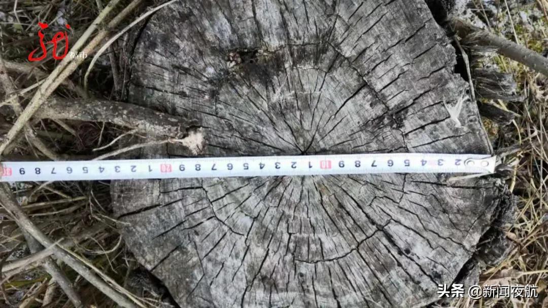 11人足球场占地面积多大,一个11人足球场多少平方