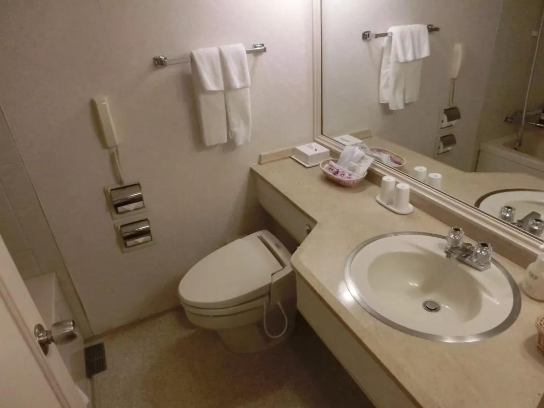 搜刮日本自由行攻略part2—签证电话卡WiFi住宿