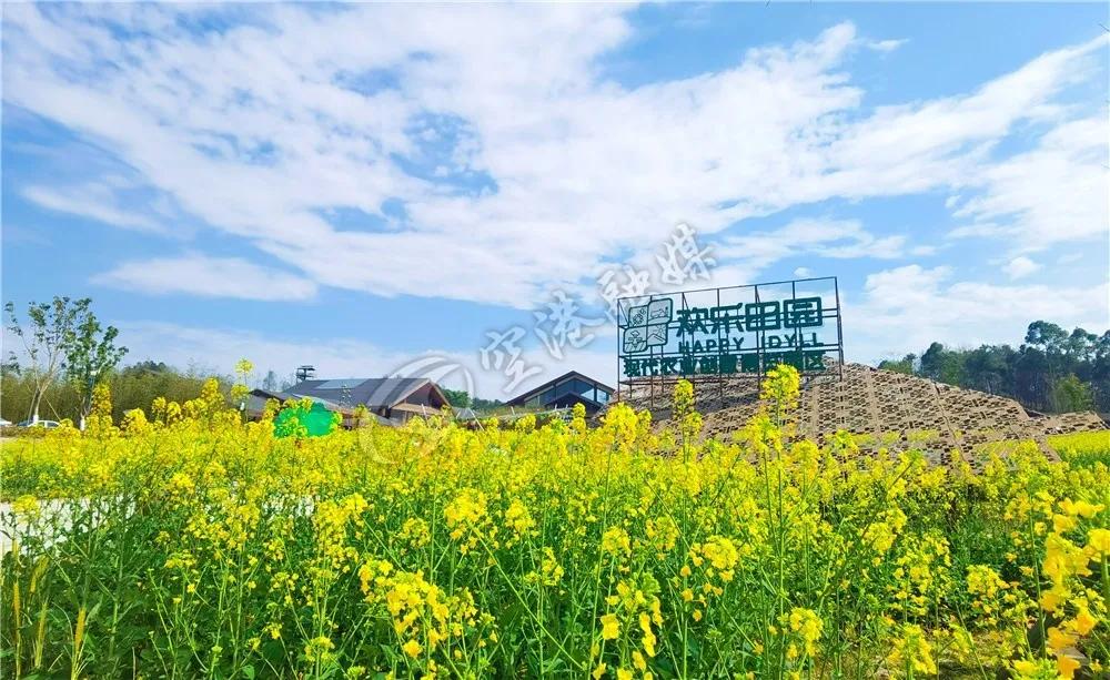 2020年4月成都双流赏花地点,双流踏青赏花地