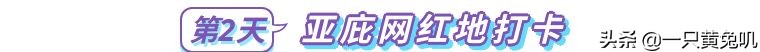 美人鱼之乡，速成老司机专场