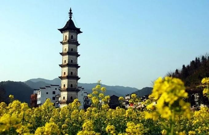 婺源旅游全攻略自由行,婺源旅游攻略一日游自由行
