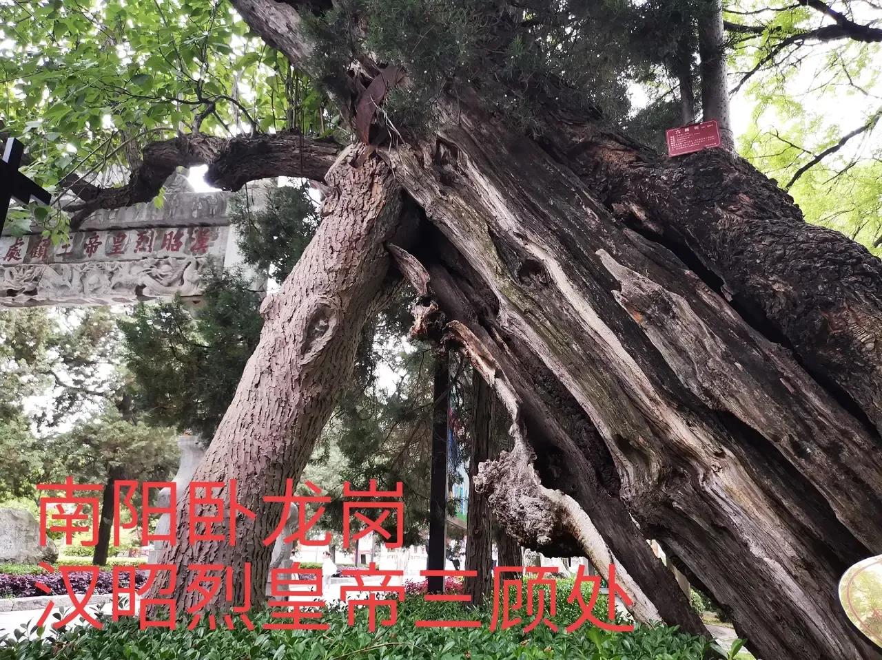 襄阳南阳古隆中,襄阳古隆中见闻感悟