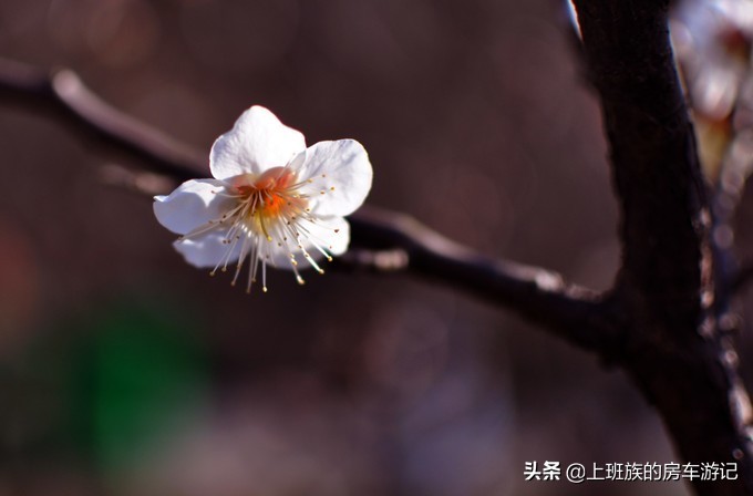 南通狼山一日游详细攻略图,夏天南通狼山一日游详细攻略