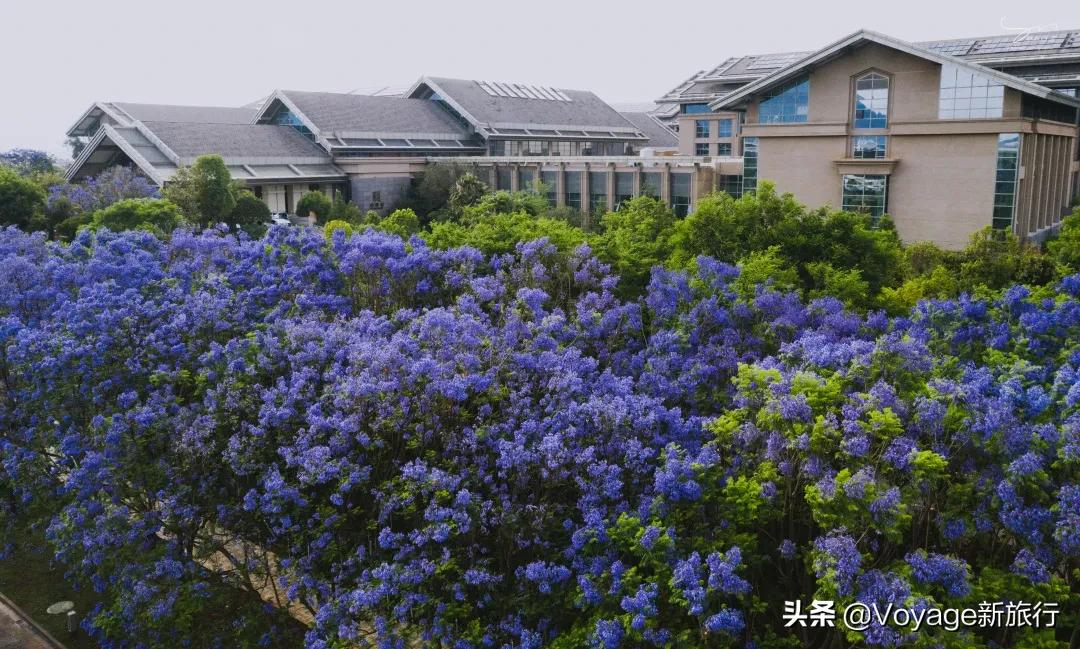 倒计时5天！这些豪华酒店的520打开方式，帮你称霸秀恩爱大赛