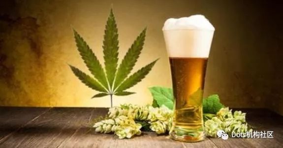 *麻大**味小熊糖了解一下？尔玛口嫌体正直，或将售*麻大**二酚食品