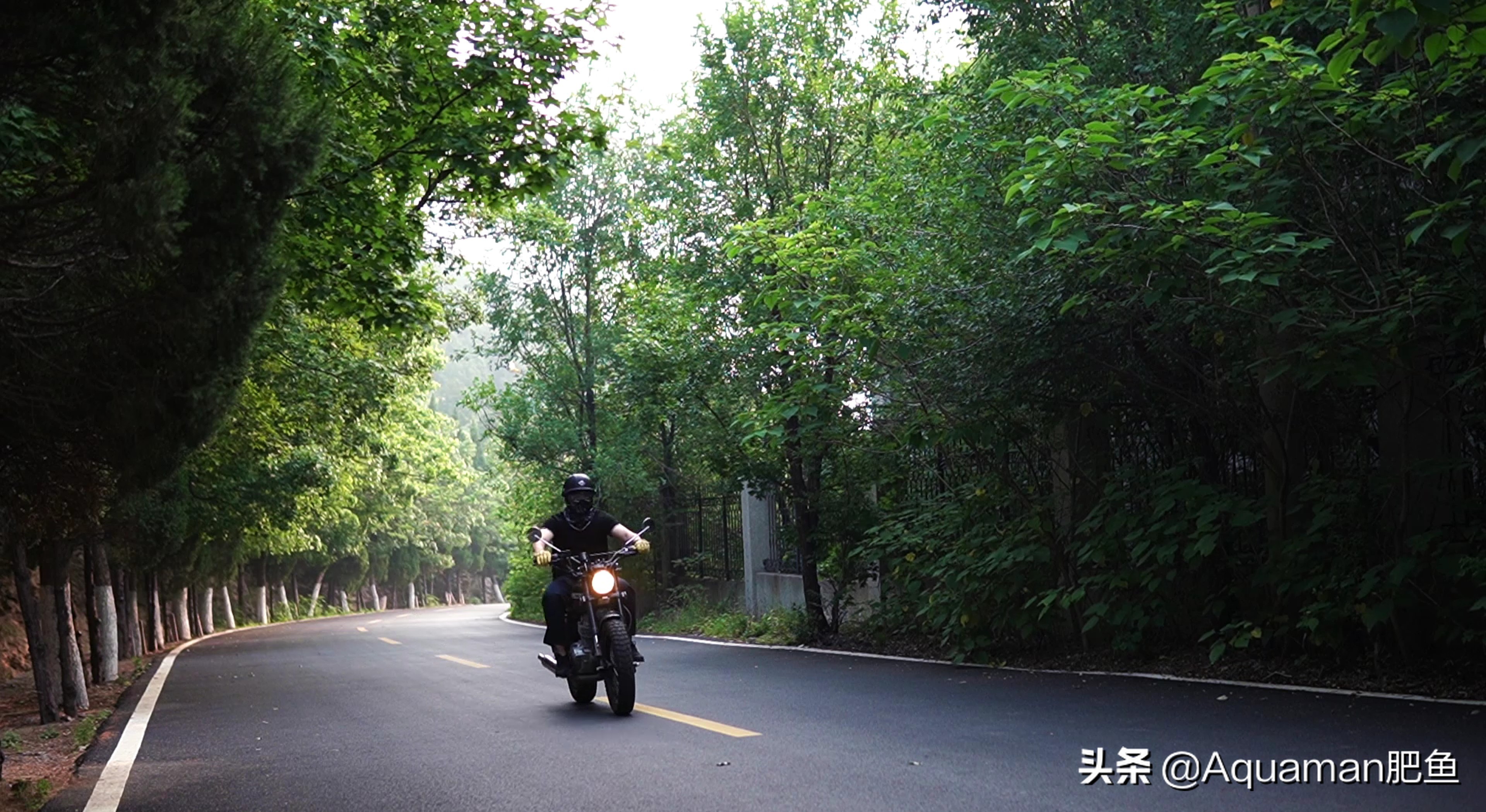 怎么低成本做个鱼缸,不用二氧化碳低成本的水草缸