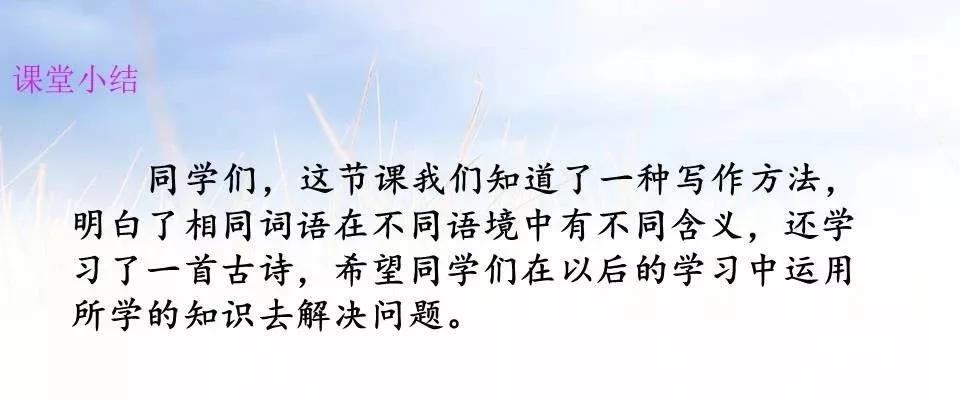 部编五上我的心爱之物文章,五上语文我的心爱之物范文