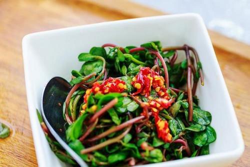 春天的野菜真好吃,时令野菜味道好极了