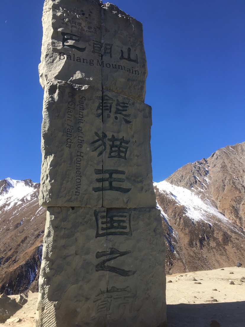 小龟王踏板车摩托车,小龟王踏板车整套外壳