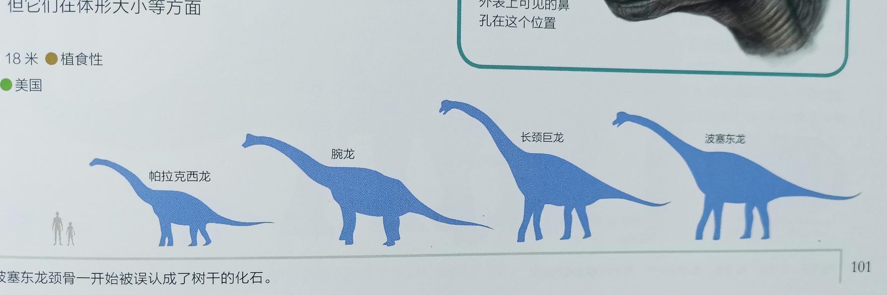 跪了！科普界天花板！恐龙迷们不要犹豫