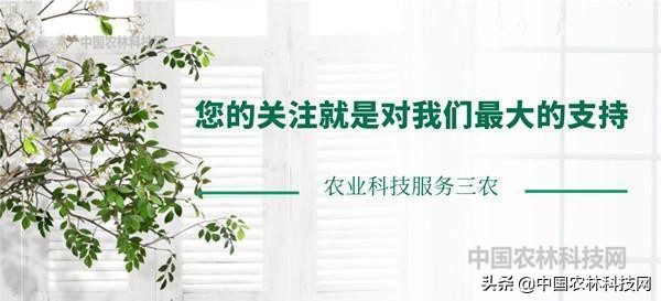 江上琼阁石宝寨！一县一品公益助农，重庆忠县农特产品柑橘