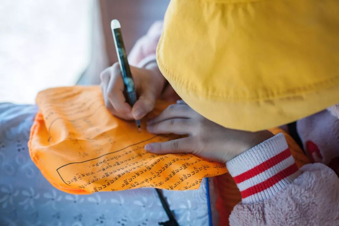 只要你面朝青海湖，八月依旧春暖花开