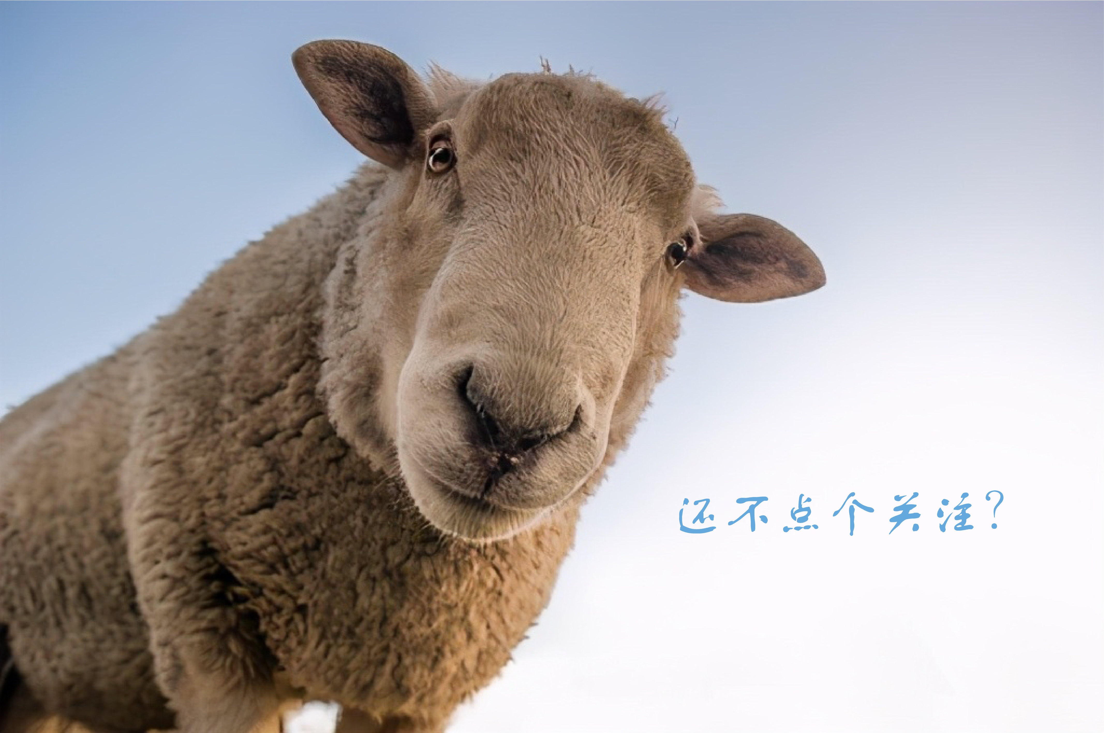 药学博士护肤品选择,药学博士眼里的护肤品