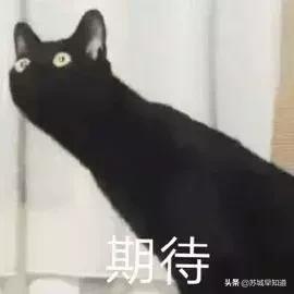 @广大仙女er，大众点评3.8折放肆疯团！人美、券多、速来！