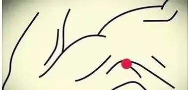 肝血和气不足拍打哪里,如果肝不好要调理哪个器官