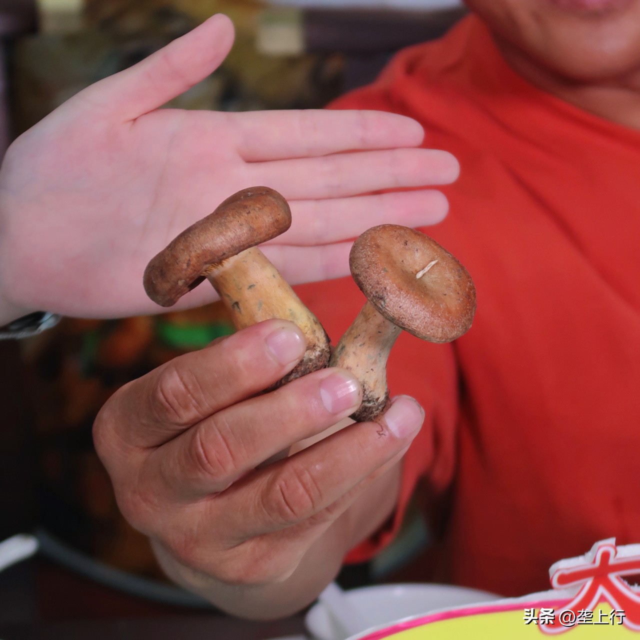 松滋有滋有味,寻味松滋