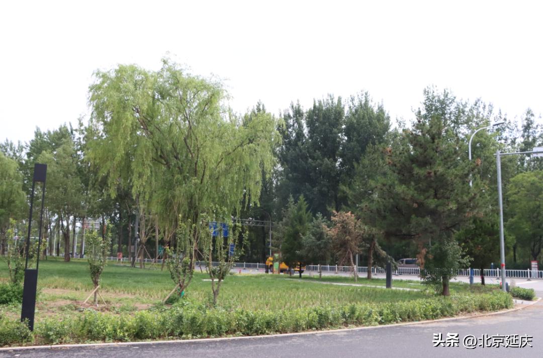 延庆米黄路,延庆米黄路加宽扩建项目