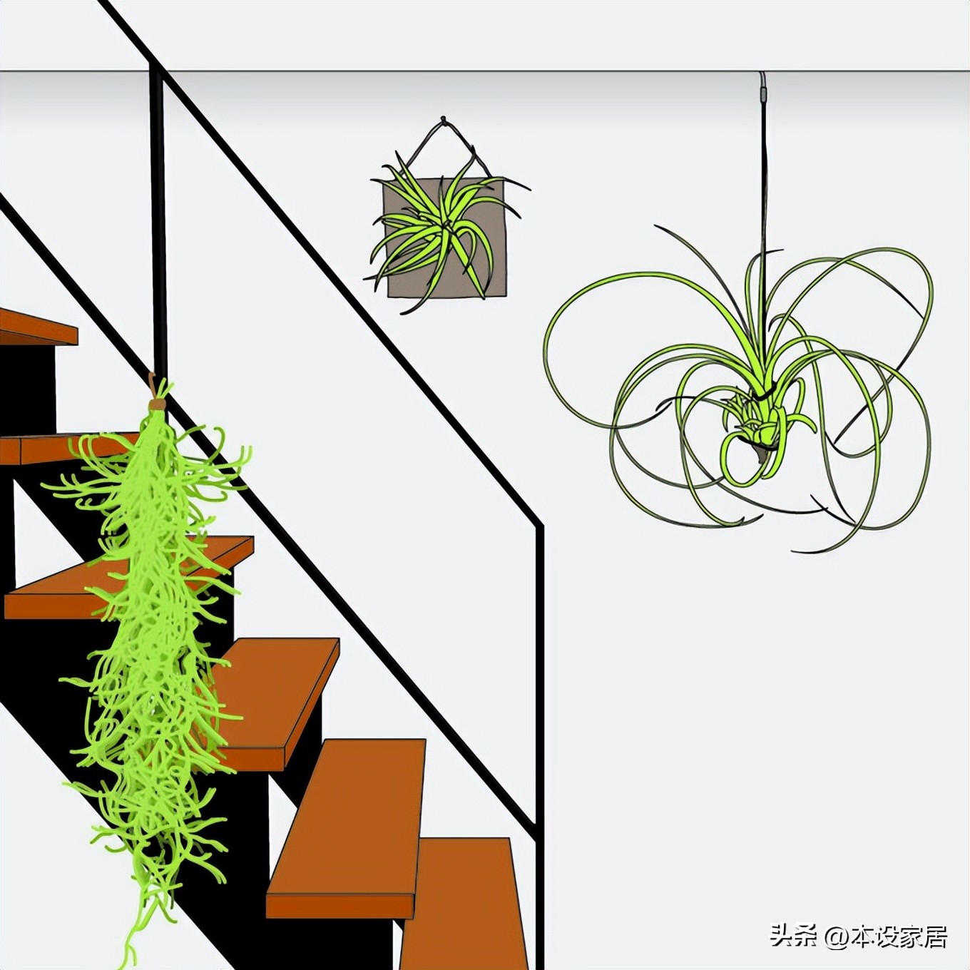 吸甲醛净化空气的绿植和花有哪些,室内净化空气用什么绿植最好