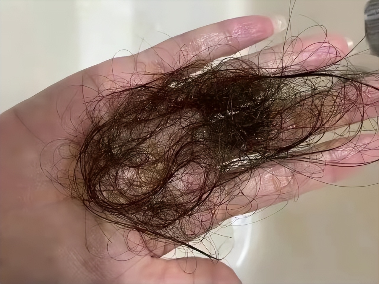 最受欢迎的洗发水生发,最受欢迎的控油洗发水品牌